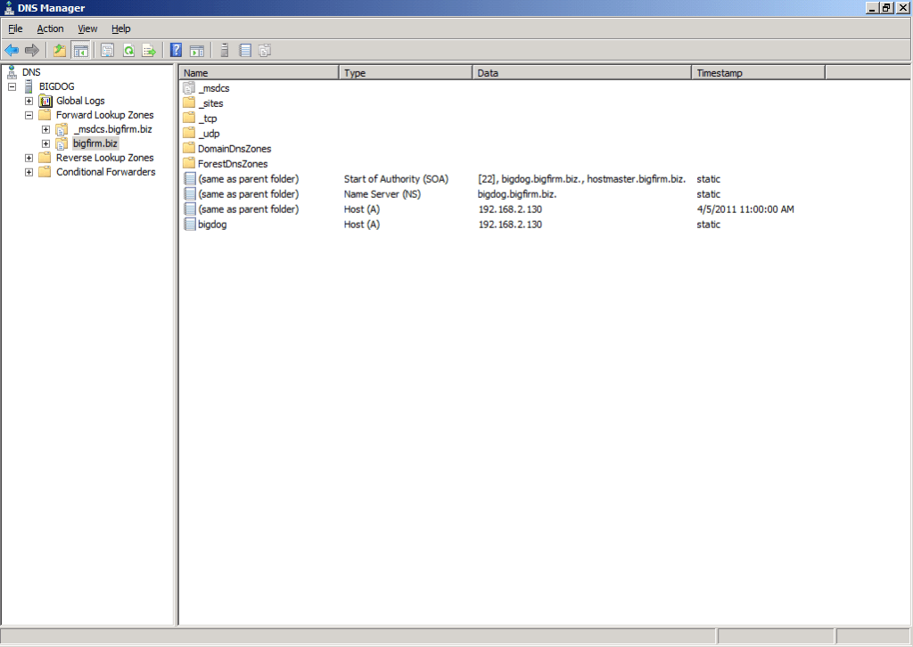 DNS 2008 R2 - bigdog.bigfirm.biz