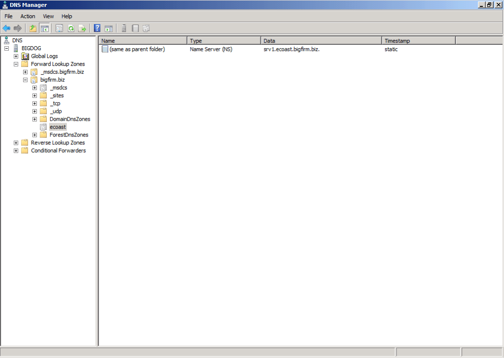 DNS 2008 R2 - bigdog.bigfirm.biz2