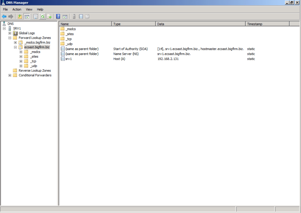 DNS 2008 R2 - srv1.ecoast.bigfirm.biz4