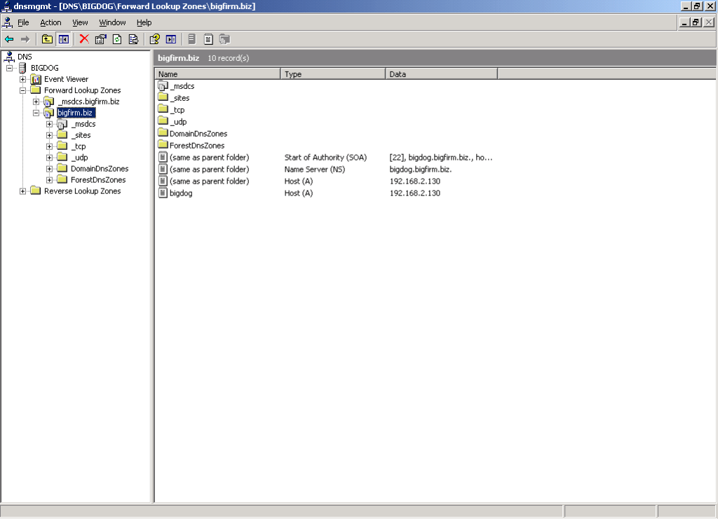 DNS - bigdog.bigfirm.biz