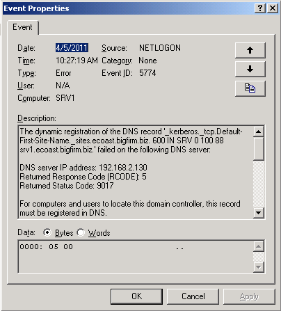 DNS - bigdog.bigfirm.biz3