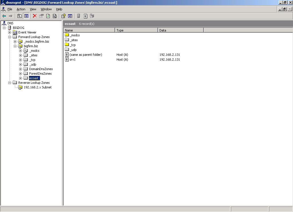 DNS - bigdog.bigfirm.biz4