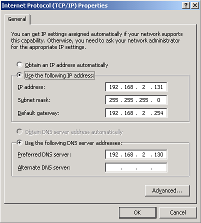 DNS - srv1.ecoast.bigfirm.biz