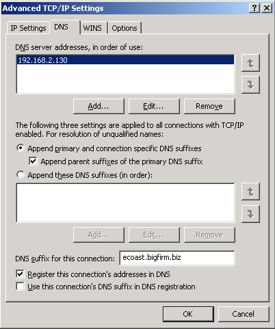 DNS - srv1.ecoast.bigfirm.biz2